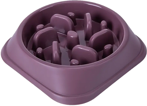 gamelle anti glouton pour chien qui mange trop vite