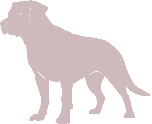 labrador lof silhouette