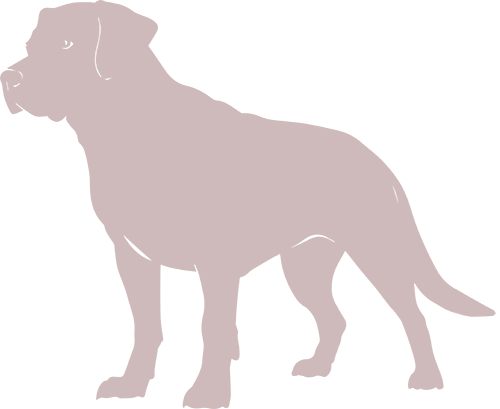 labrador lof silhouette