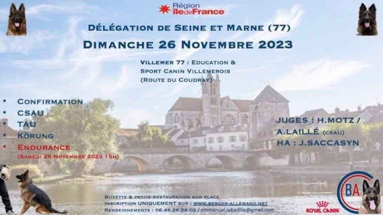 confirmation berger allemand chien lof ccba manifestations concours berger allemand villemerois seine et marne 77 ile de france grand est