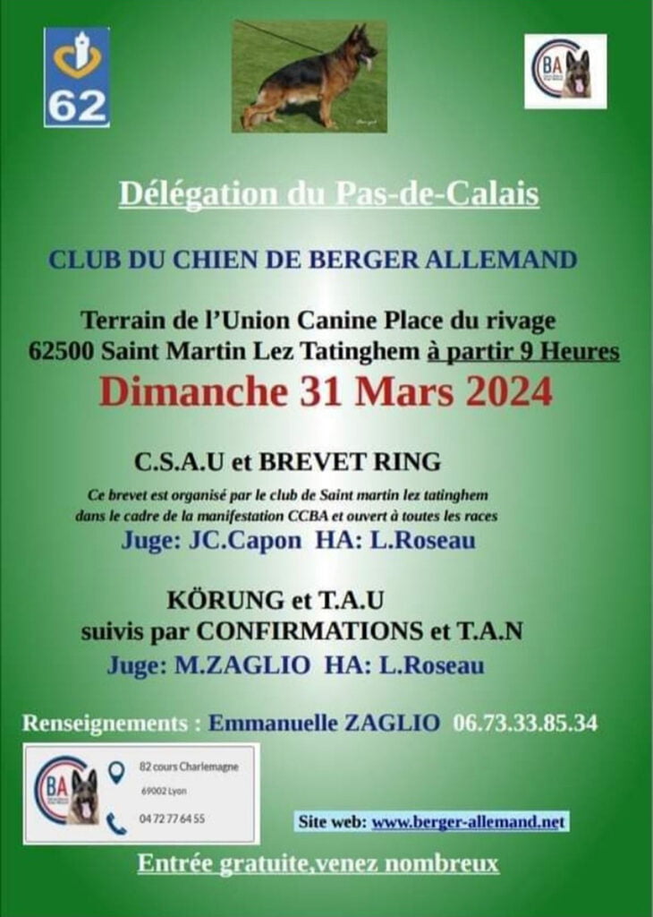 Expo spéciale race berger allemand confirmation 31mars 2024 Pas-de-Calais Saint-Martin-lez-Tatinghem 62