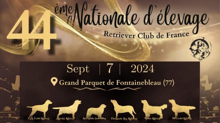 nationale elevage retriever 7 septembre 2024 alu