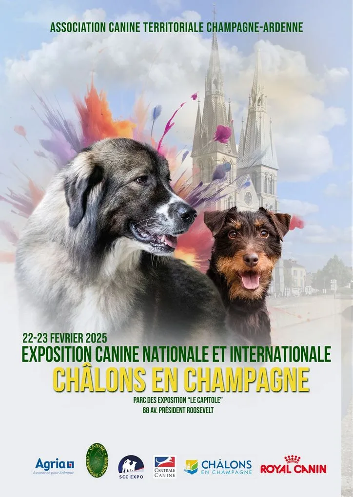 expo canine châlons en champagne 51 Marne 22 23 février 2025 cacs cacib Champagne Ardenne